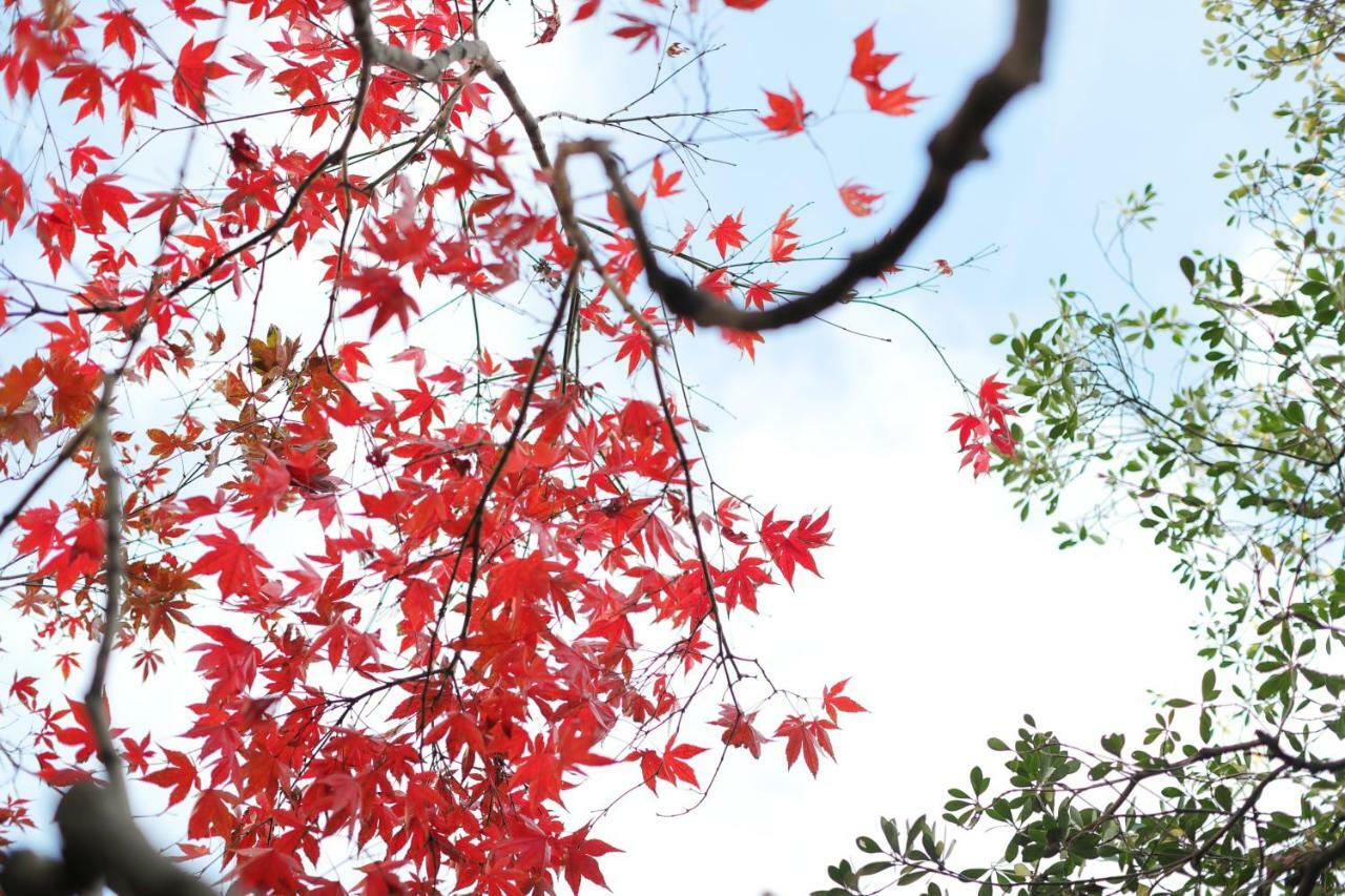 Ryokan Tanoya Kyoto Dış mekan fotoğraf