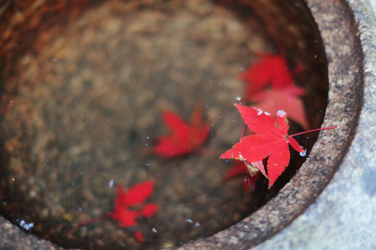 Ryokan Tanoya Kyoto Dış mekan fotoğraf